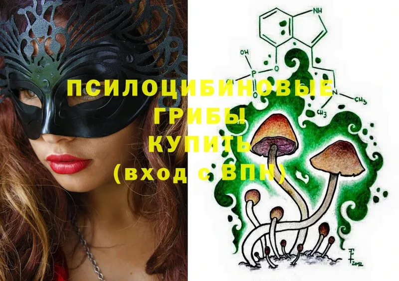 Галлюциногенные грибы Psilocybine cubensis  Баксан 